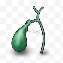 身体健康卡通图片_绿色人体器官胆囊