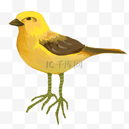 飞舞的翅膀图片_黄色创意站立的黄鹂鸟元素
