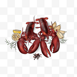 手绘两只红色大龙虾