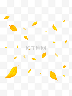 植物漂浮树叶图片_植物秋天叶子漂浮气氛