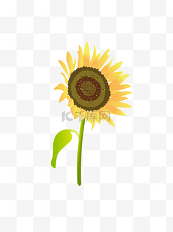 向日葵唯美图片_手绘向日葵元素之小清新黄色太阳