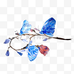 蓝色翅膀蝴蝶图片_蝴蝶透明翅膀蓝色美丽昆虫PNG