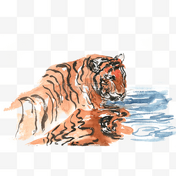 老虎免抠素材图片_水中游泳的老虎水彩画PNG免抠素材