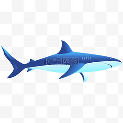 卡通海洋生物鱼图片_卡通矢量海底鲨鱼