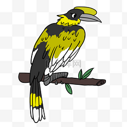 黄色羽毛的小鸟图片_黄色的小鸟手绘插画