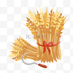 熟透的图片_手绘粮食麦子插画