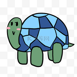 海龟乌龟手绘插画