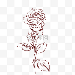 玫瑰花素材黑色图片_线描玫瑰花线描插画