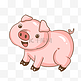 可爱的粉色小猪插画