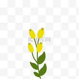 卡通黄色的花朵免扣图