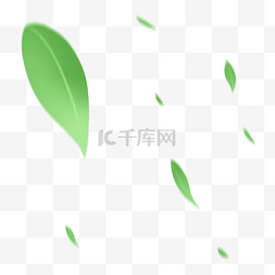 植物树叶纹理图片_绿色叶子素材