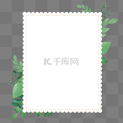 绿植边框装饰图片_白色清新植物边框