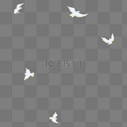 小翅膀白色图片_白色创意鸽子飞鸟和平鸽