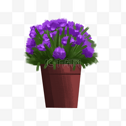 春天紫色的小花插画