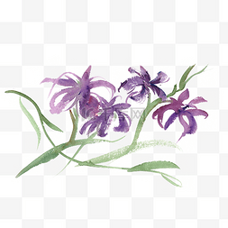 紫色的花水彩画PNG免抠素材