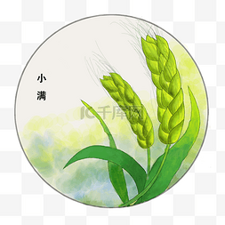 小满时节图片_小满节气图标下载