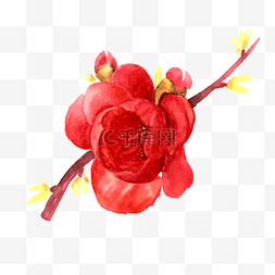 手绘春天红色花朵图片_红色的鲜花手绘鲜花