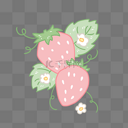 水果草莓花