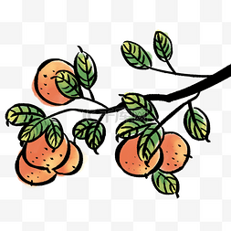 水墨橘子水果