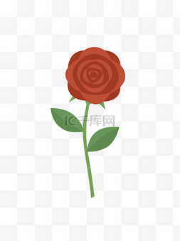 优雅红色玫瑰花