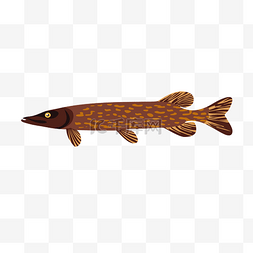 动物彩绘图案图片_鱼造型卡通鱼图案
