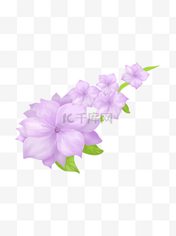 手绘花蓝紫色花瓣唯美简洁