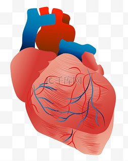 矢量免扣卡通心脏