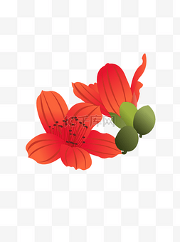 手绘红色植物图片_手绘木棉花元素之卡通红色植物花
