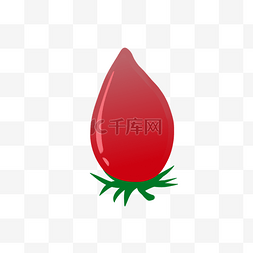 番茄植物种植生长红色