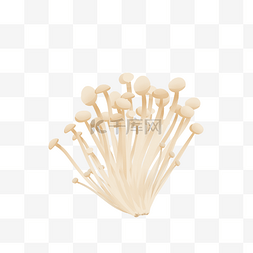 菇类素材图片_金针菇插画手绘食物