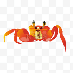红色的螃蟹图片_红色的螃蟹手绘插画