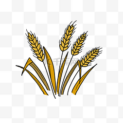 创意粮食图片_黄色的小麦手绘插画