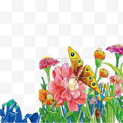 花儿蝴蝶图片_新鲜的的花朵和蝴蝶