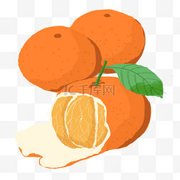 橘色橘子图片_手绘橘子水果