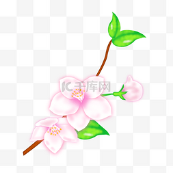 粉色樱花花蕊图片_矢量卡通粉色桃花