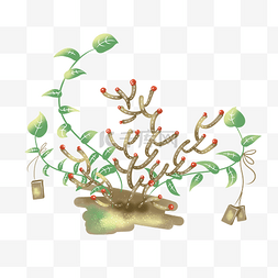 小果子植物图片_春天黄绿色鹿角树插画PNG