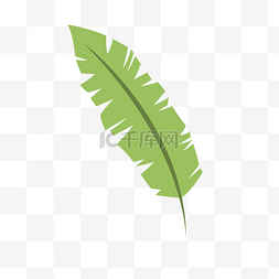 绿色的免扣元素图片_一根绿色的羽毛般的叶子免扣图