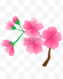 手绘花卉玫瑰图片_卡通免扣粉色花朵