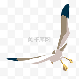 卡通手绘飞翔的鸟图片_飞翔的海鸥免抠图
