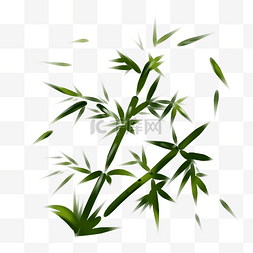 绿色竹子竹叶