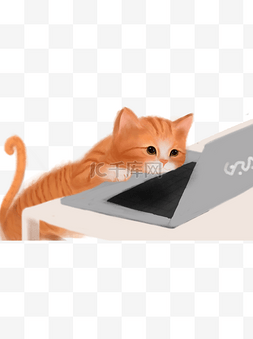 趴在电脑上的可爱猫咪装饰元素