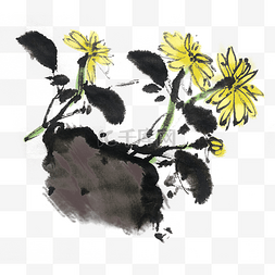 中国风手绘水墨菊花