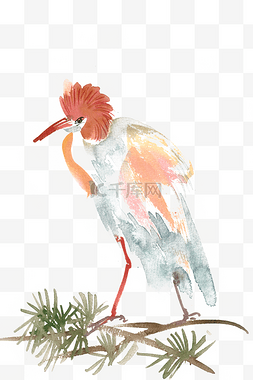 美丽的鸟水彩画PNG免抠素材