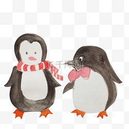 小企鹅卡通图片_手绘卡通企鹅插画