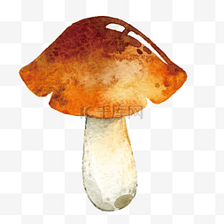 水彩蘑菇手绘图片_水彩插画秋日蘑菇