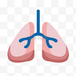 粉色手绘人体器官肺矢量免抠素材