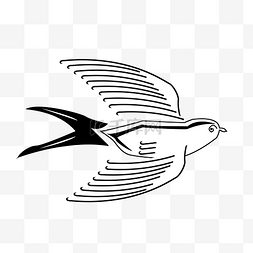 展开翅膀的鸟图片_手绘黑白燕子插画