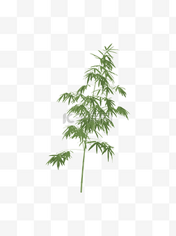 扁平风绿植物图片_扁平简约手绘风绿色植物竹子元素