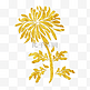中国风传统烫金鲜花花纹装饰图之大波斯菊