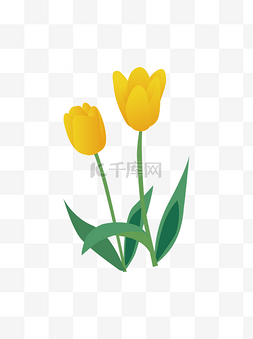 黄色郁金香花卉花束元素